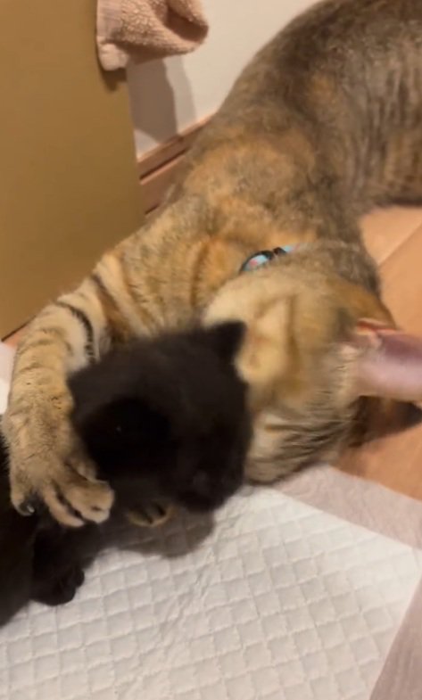抱きしめる