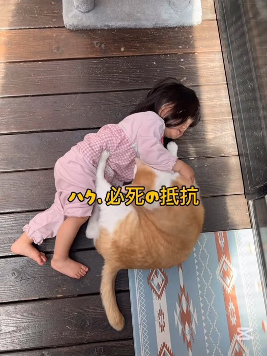 後ろ足を突っ張る猫