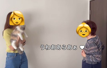 猫を抱っこする女性とおばあちゃん
