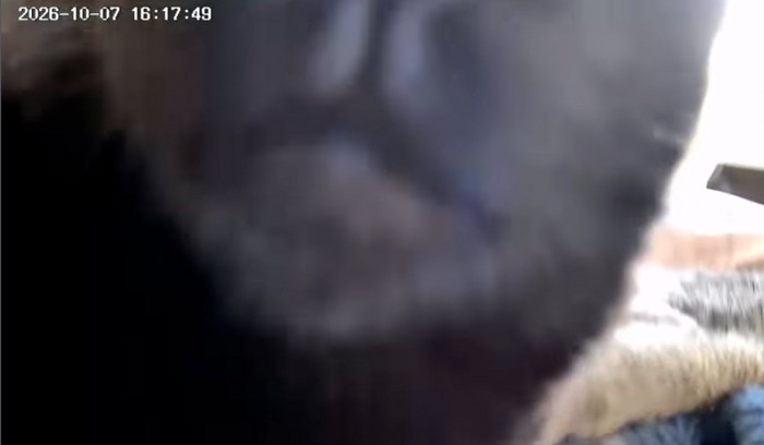 カメラを上に上げていく