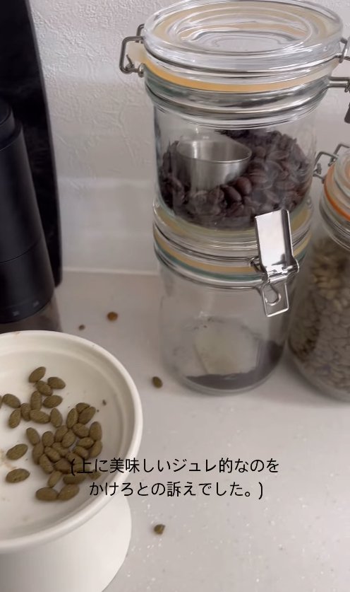 お皿に入った食べかけのカリカリ