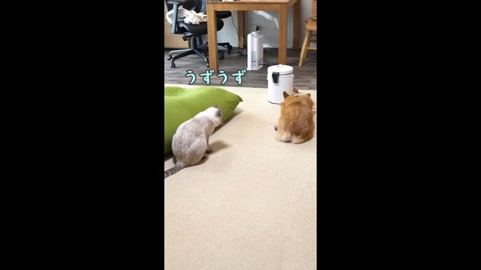 うずうず