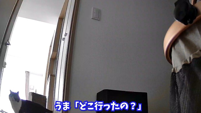 どこ行ったの？