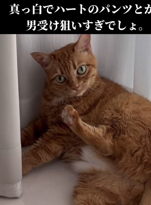 「真っ白でハートのパンツ...」のテロップ写真