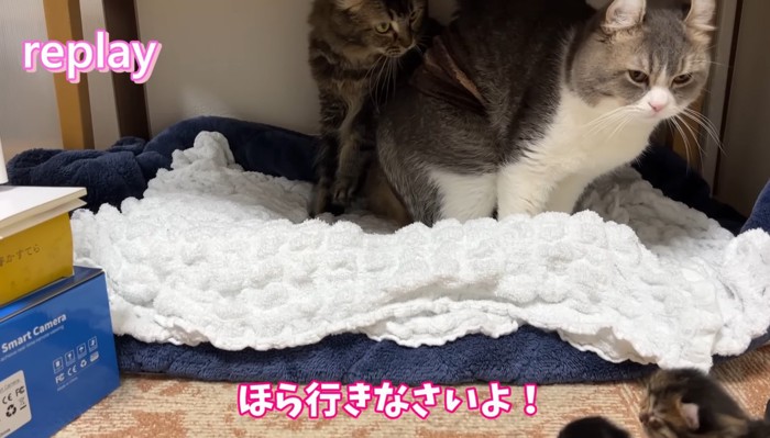 ほら行きなさいよ!