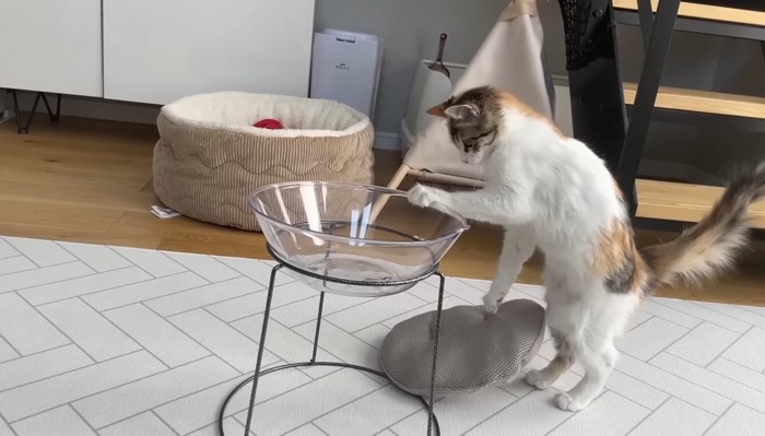 つかまり立ち(向かって右側)