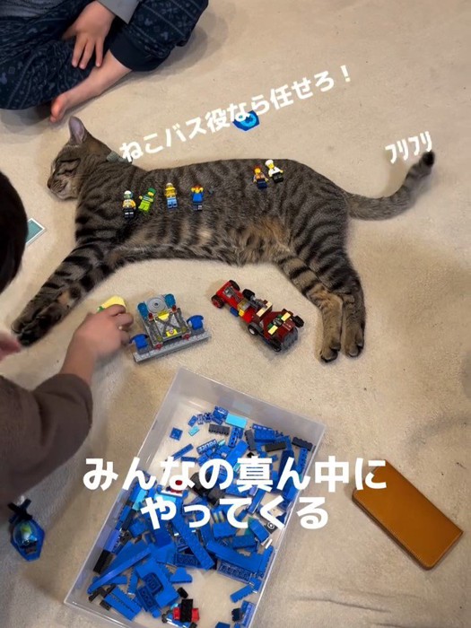 横になる猫