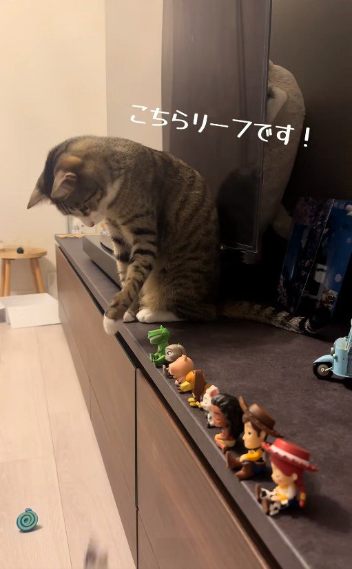フィギュアを前足で落としている猫
