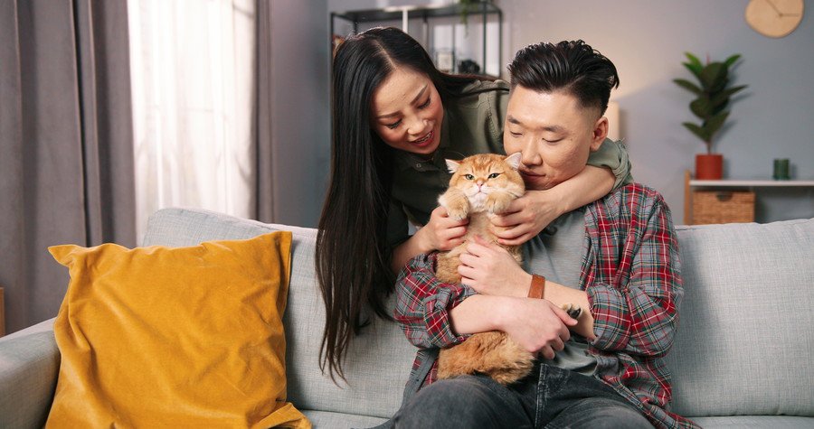 猫を抱く中年夫婦