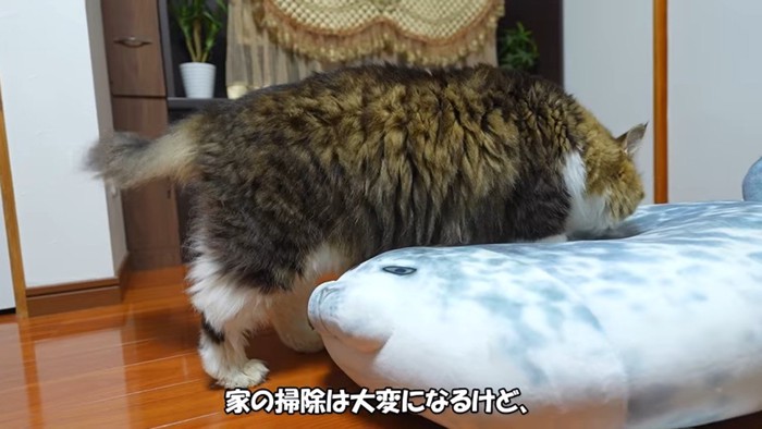 掃除は大変になるけど