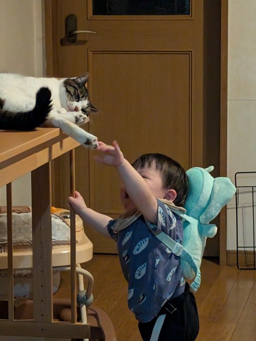 猫の足に触る赤ちゃん