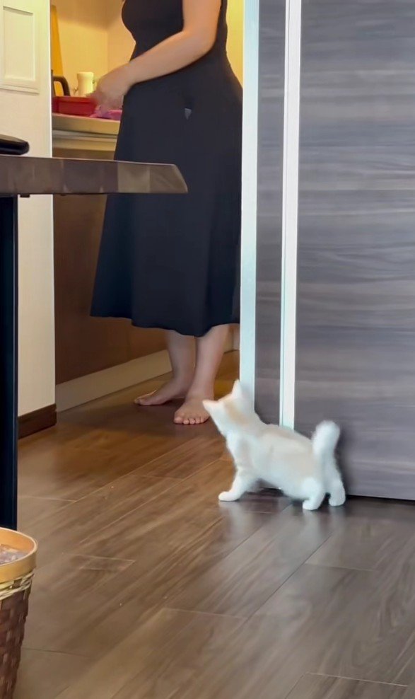 かくれんぼ中のバンビくん