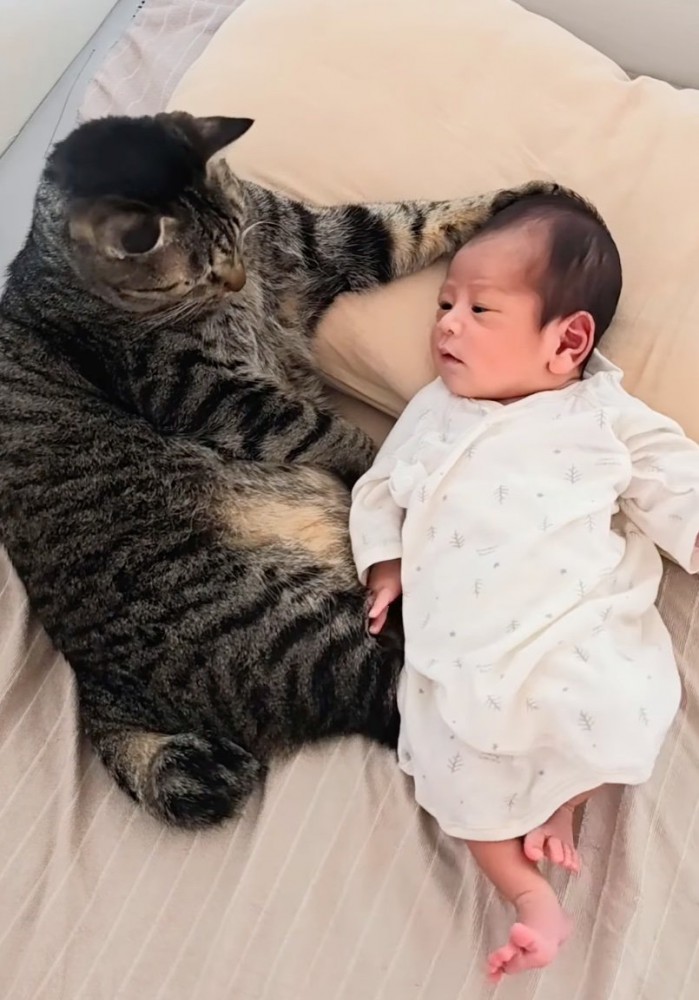 赤ちゃんの様子を注視