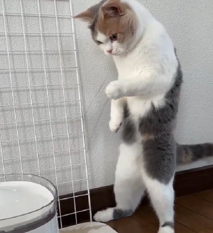 驚くるなちゃん