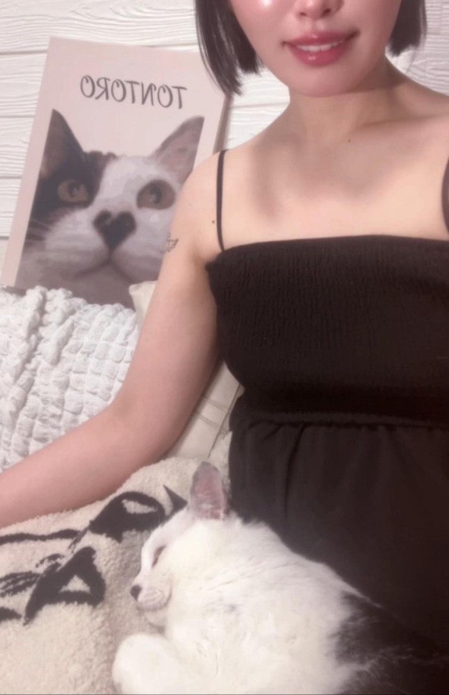 人の膝に乗る猫