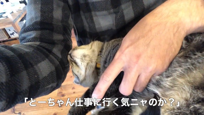 仕事に行く気ニャのか?