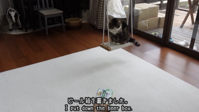 「ビール箱を置きました」のテロップ写真