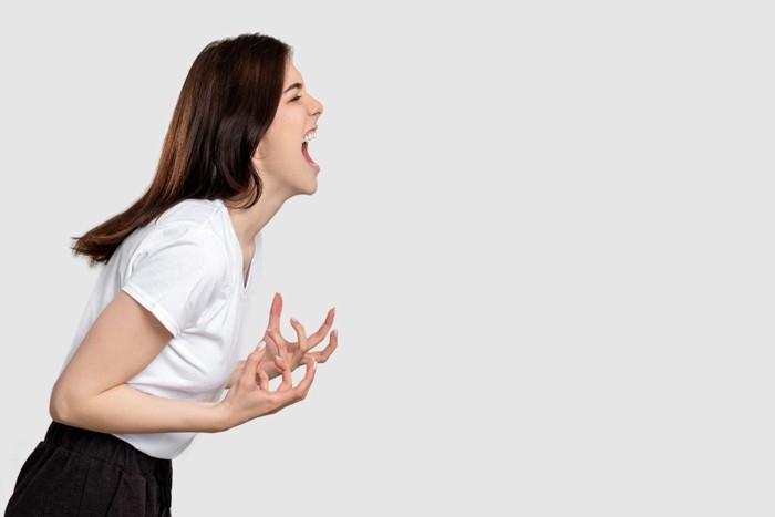 ペットの猫と飼い主の手