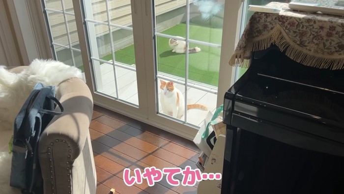 部屋の中に入ろうとする師匠