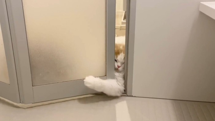 腕を動かして