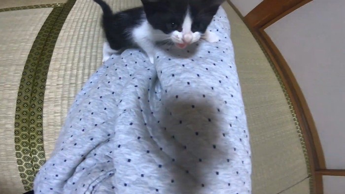登る姿