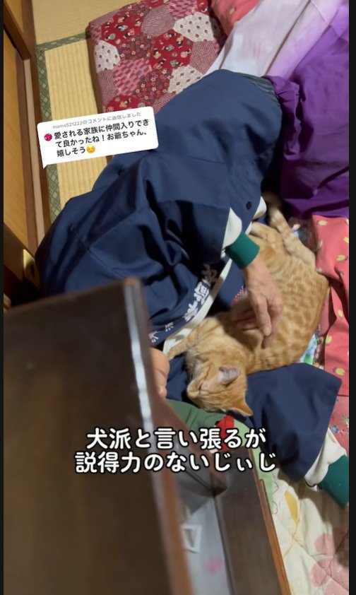 犬派なおじいちゃん