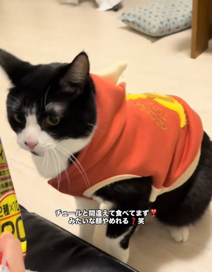 指を見つめるオレオちゃん