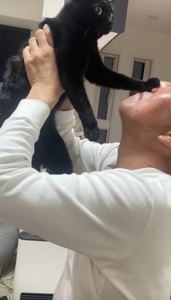 抱っこされる猫の写真4