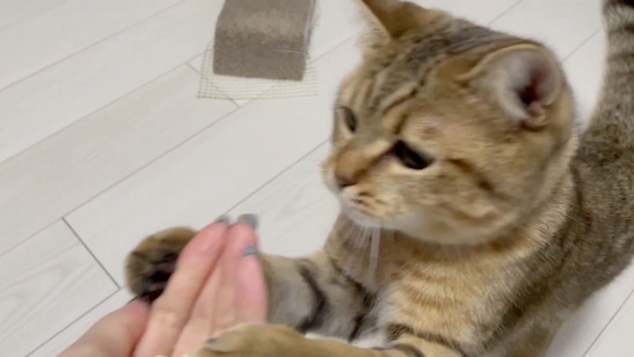 おやつをみつけたみにらくん