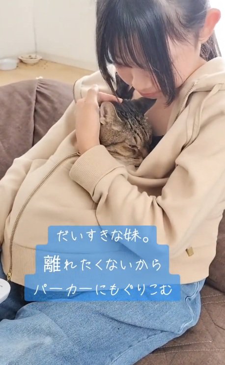 女の子のパーカーの中に入っている猫と猫を撫でる女の子