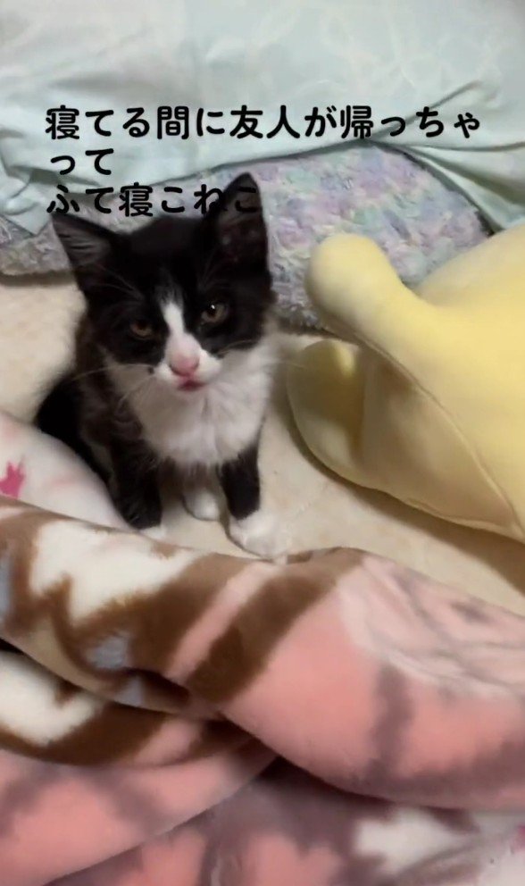 拗ねているねむちゃん