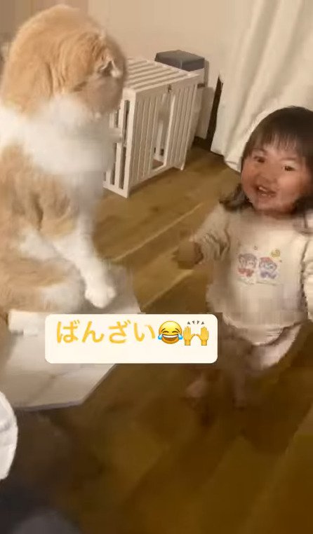 猫をみて微笑む娘さん