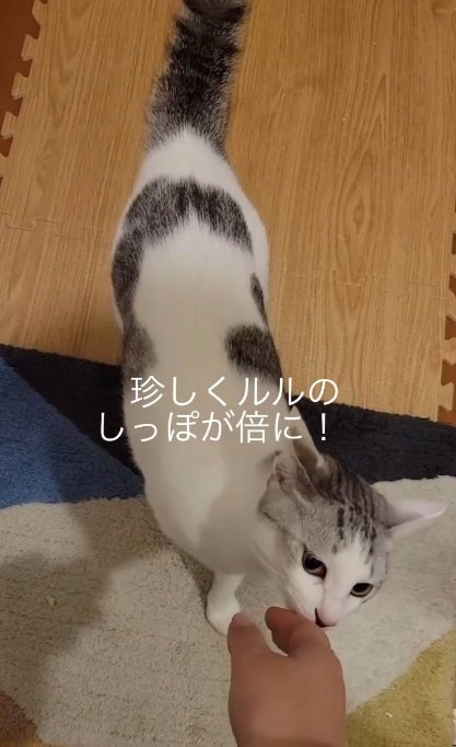まだ嗅ぐ