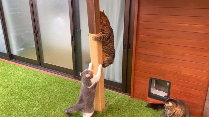 登るつむぎくん