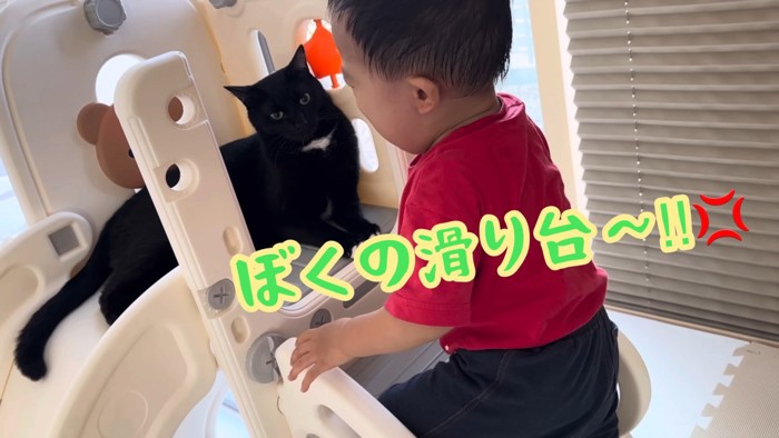 すべり台を占拠する猫と泣いている赤ちゃん