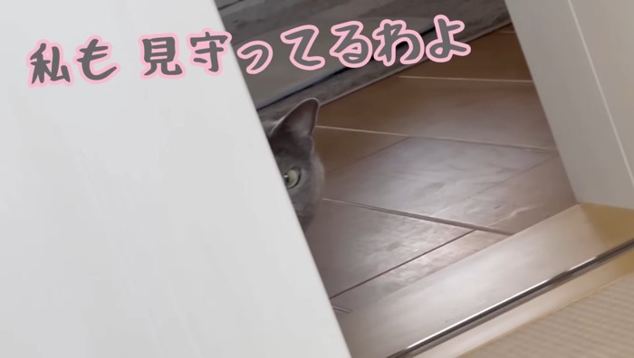 私も見守ってるわよ