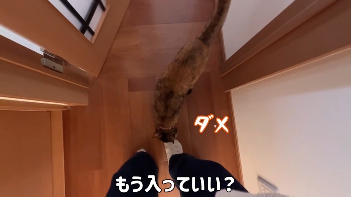 もう入っていい?