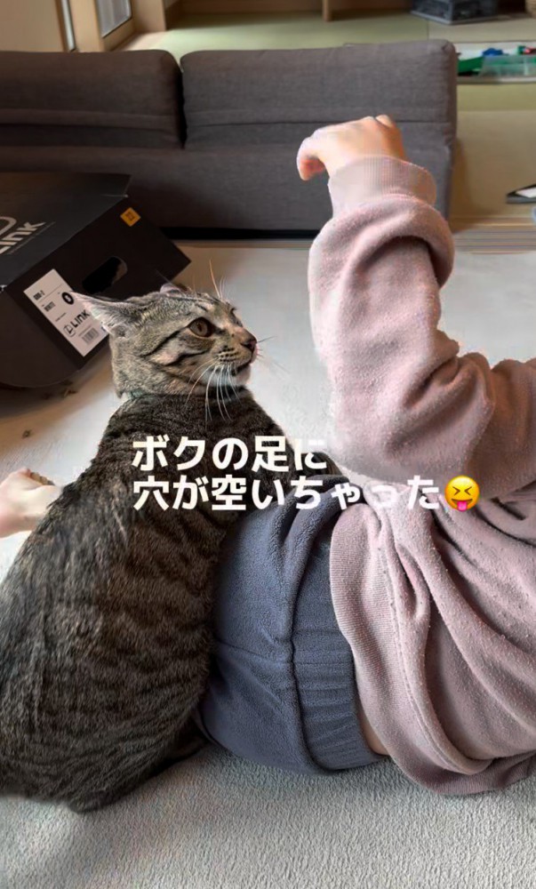 ニャンプロをする男の子と猫