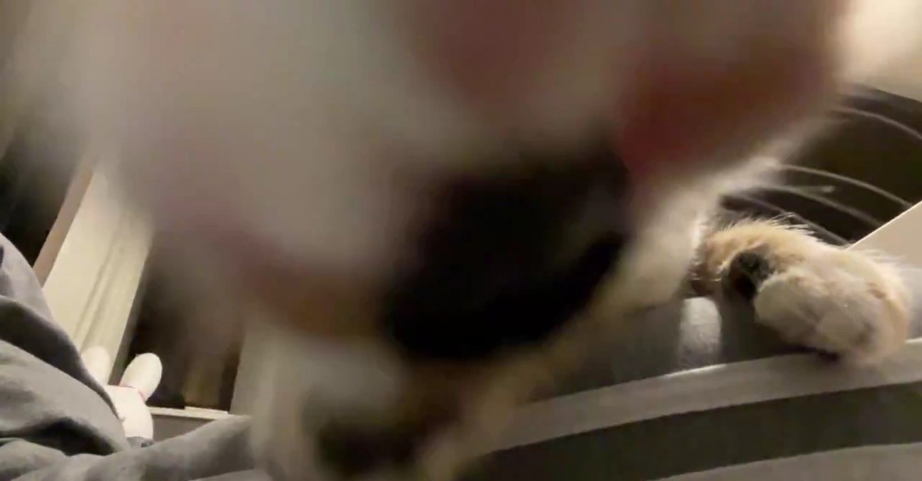 むーちゃんの手