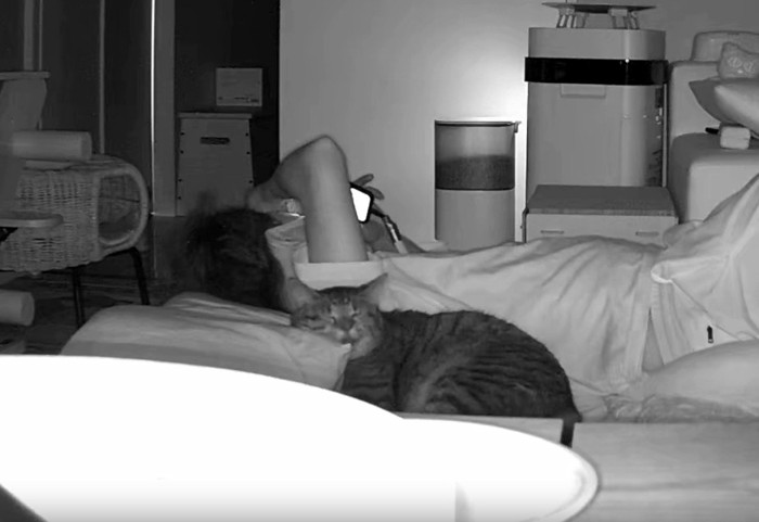 猫と寝転がっている飼い主