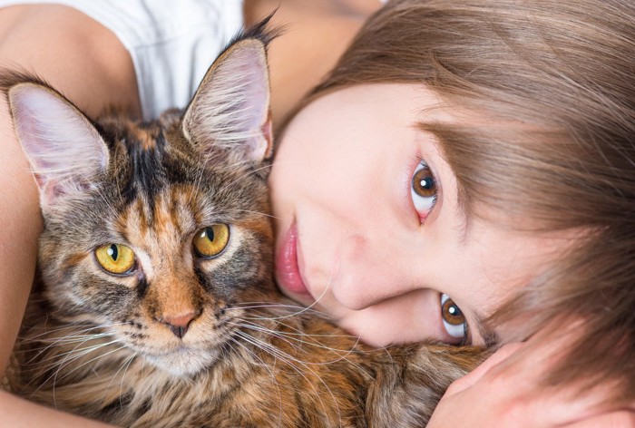 メインクーンと女の子