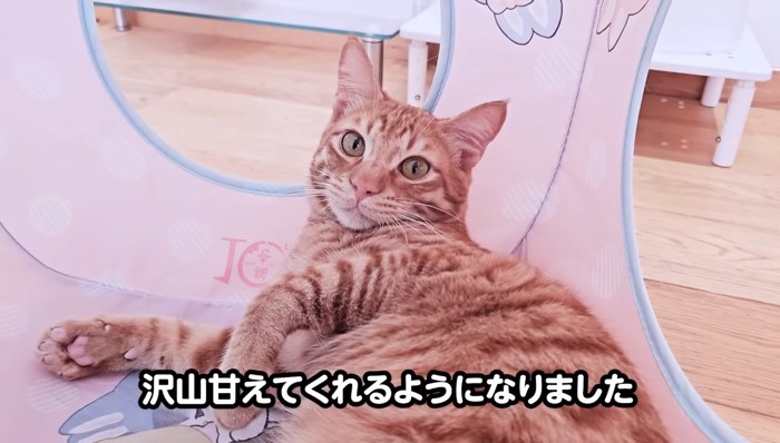 甘えてくれるように