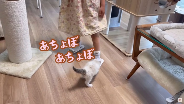 テロップ「あちょぼあちょぼ」