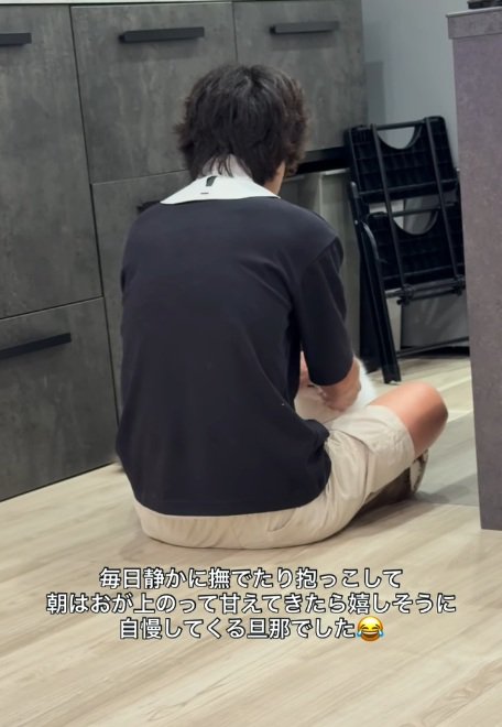 男性の後ろ姿と撫でられている猫