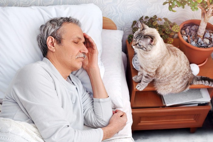 寝ている男性を見ている猫