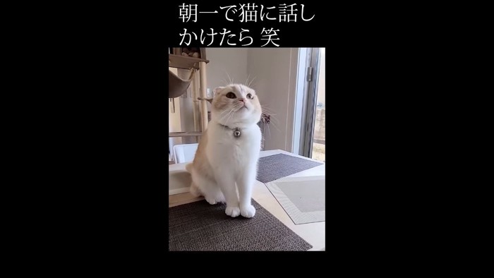 見上げた姿
