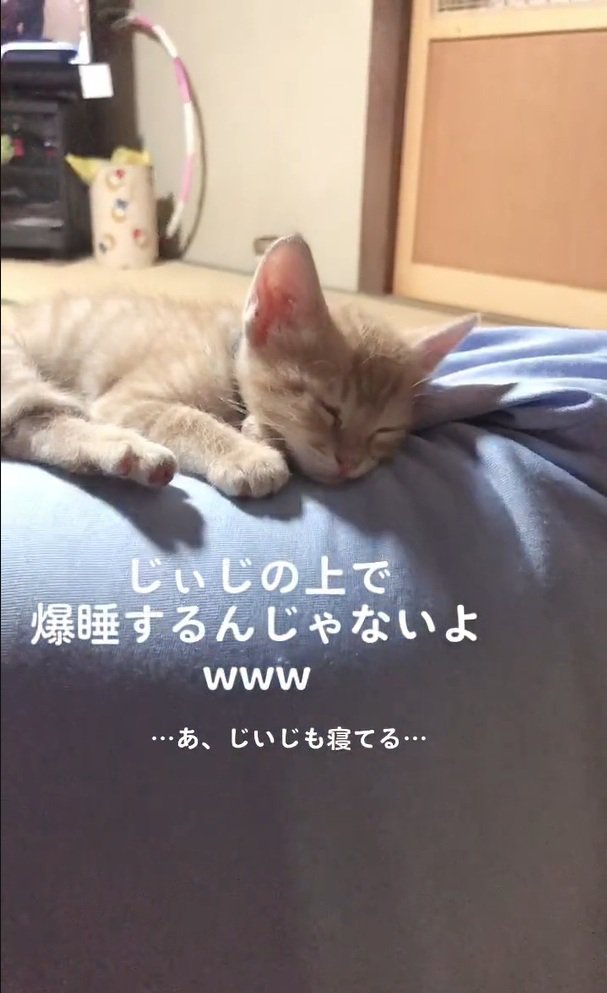 一緒に寝ているふたり