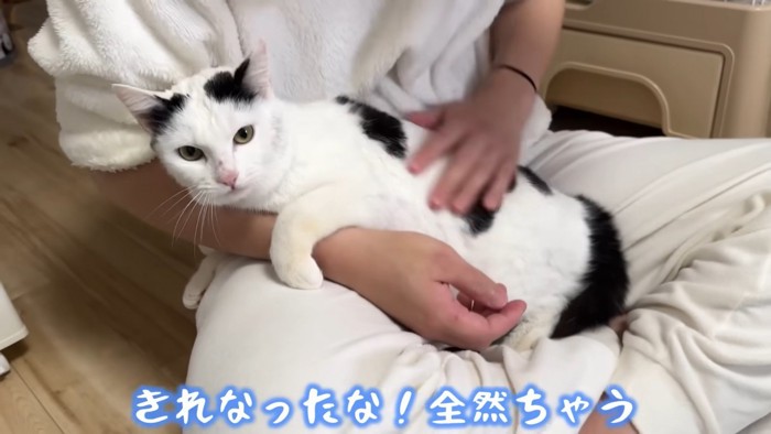 テロップ「きれなったな!」