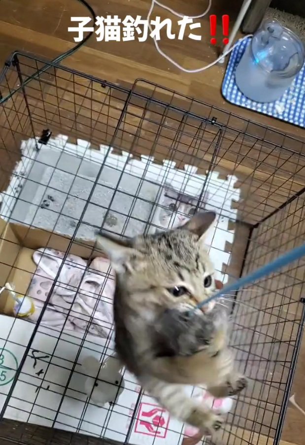 手を離さない小町ちゃん