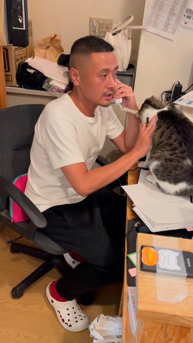 ノートの上に乗っている猫を優しく手で押す男性